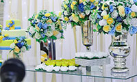 Chácara com Piscina Casamento